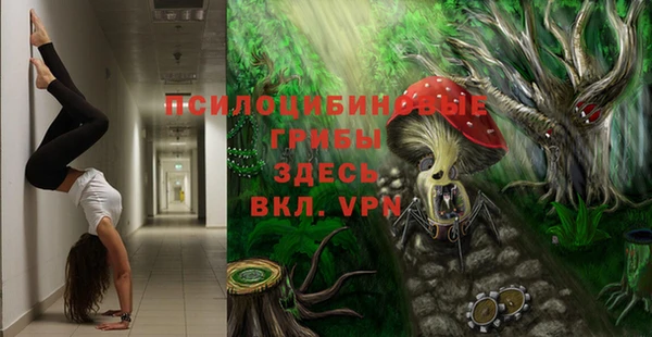 тгк Осташков