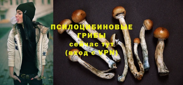 альфа пвп Осинники