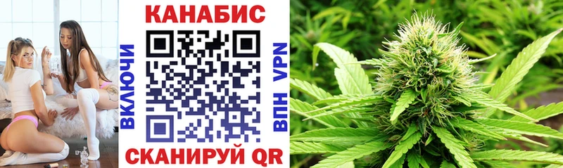 как найти   Петрозаводск  дарк нет телеграм  Конопля SATIVA & INDICA 